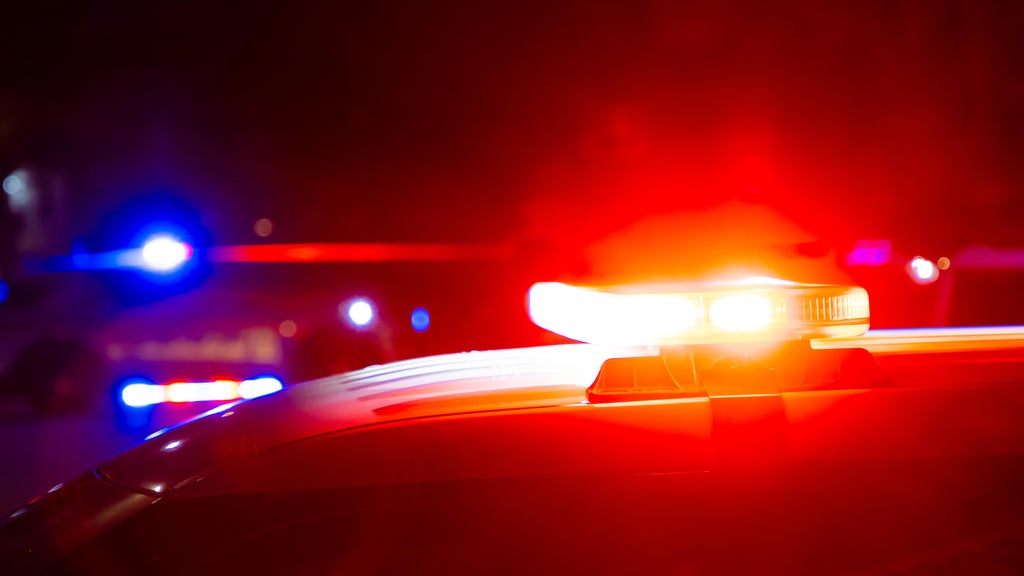 Driver killed in head-on collision with semi in central Minnesota — Brooklyn Park Sports news